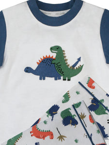 Boys dinosaur summer pyjamas