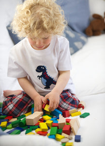 Cheeky Dinosaur Summer Kids Pyjamas for Boys